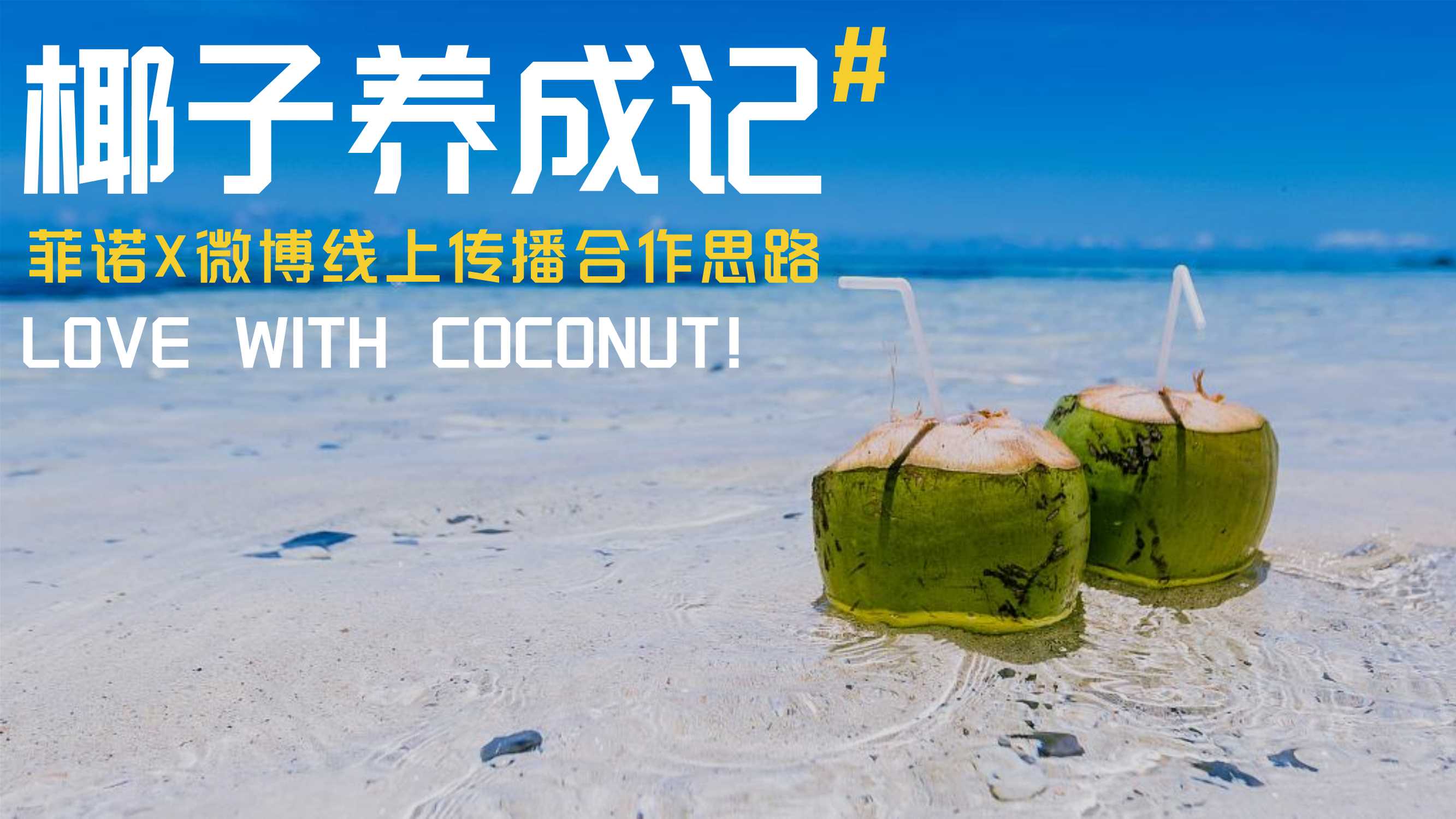 菲诺微博传播.pdf