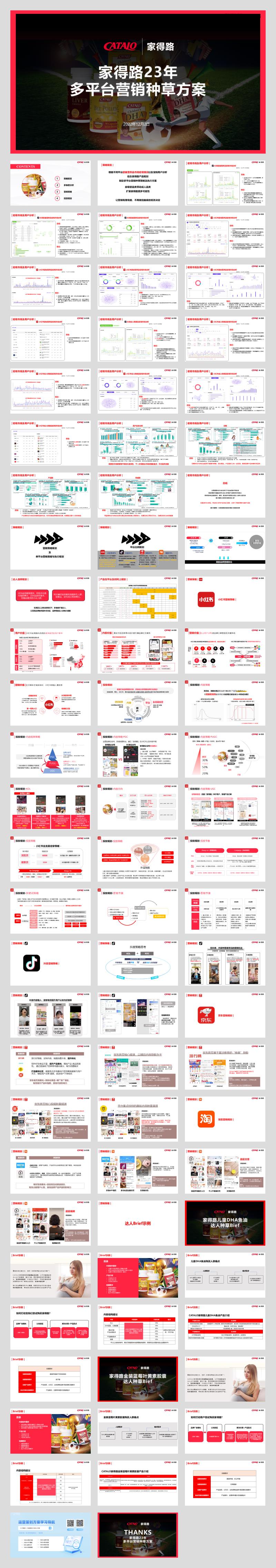 家得路23年多平台营销种草方案.pptx