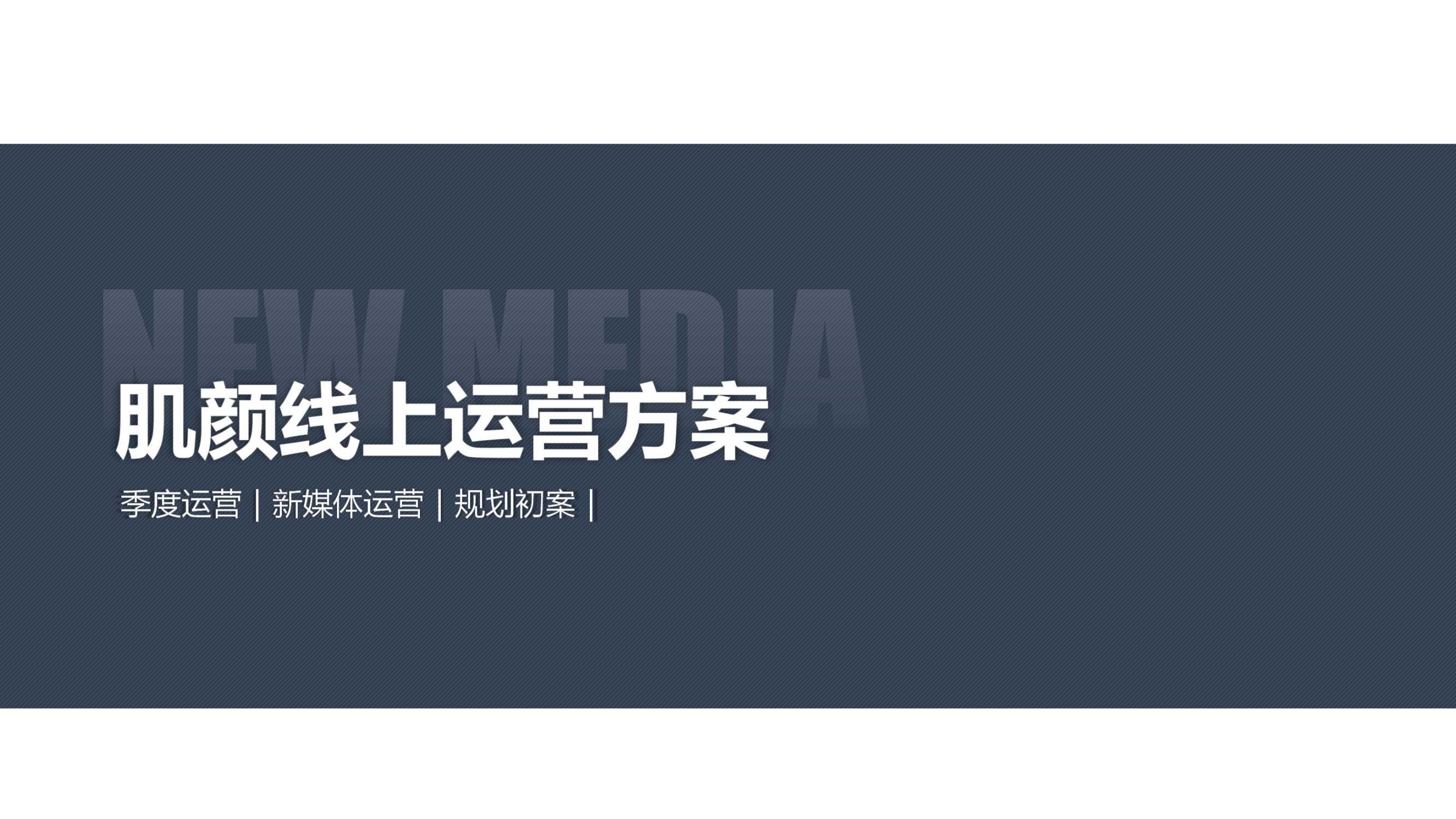 美妆-颜肌品牌运营方案.pdf