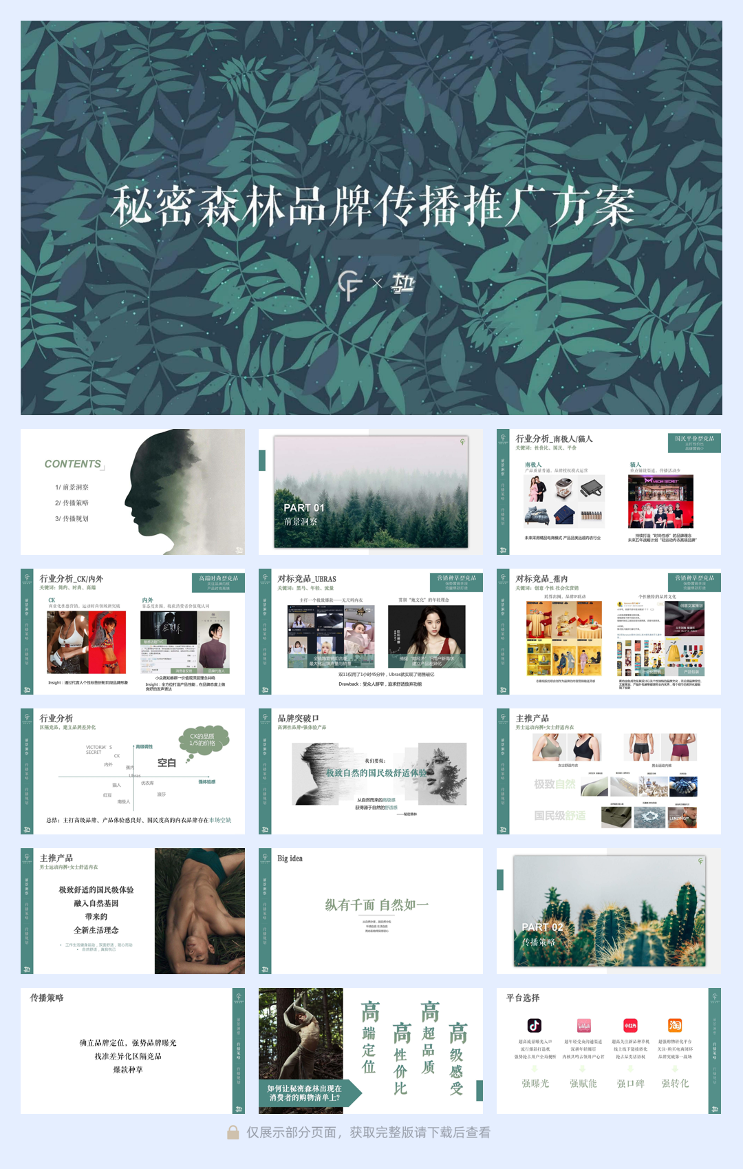 秘密森林内衣品牌推广方案.pdf