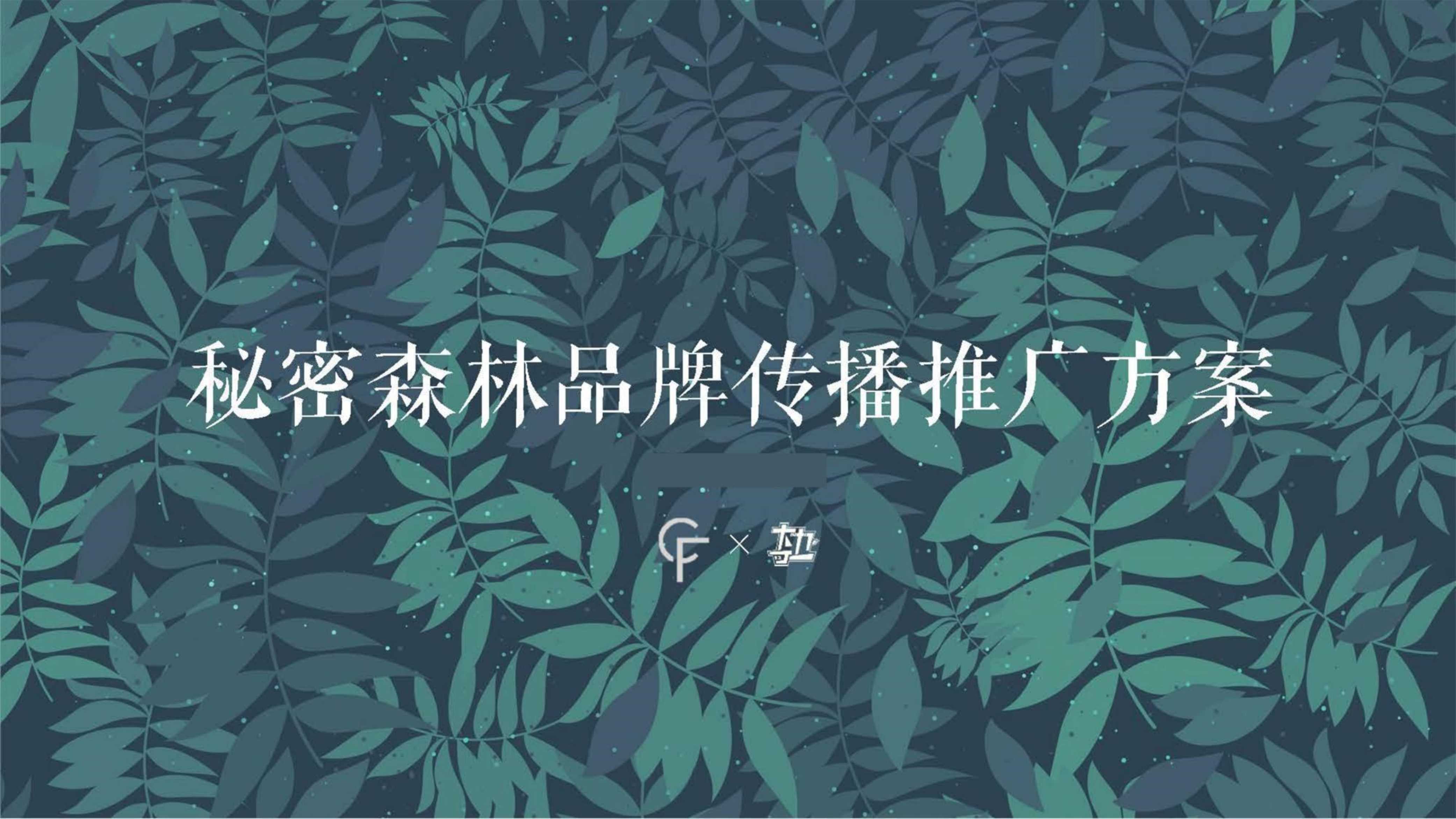秘密森林内衣品牌推广方案.pdf