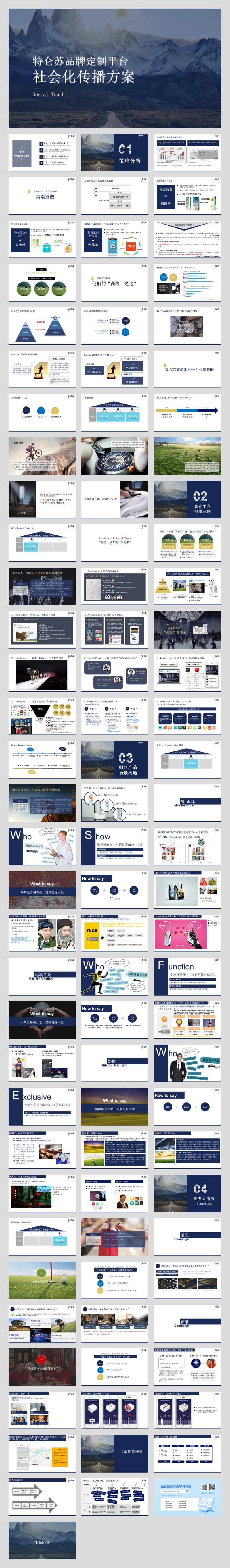 特仑苏品牌定制平台传播.pptx