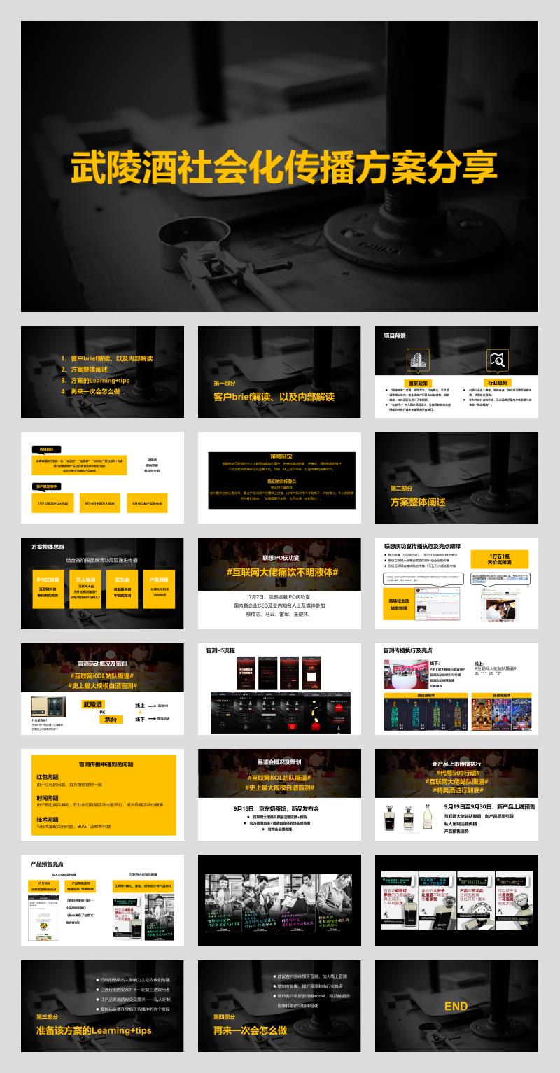 武陵酒社会化传播方案分享.pptx