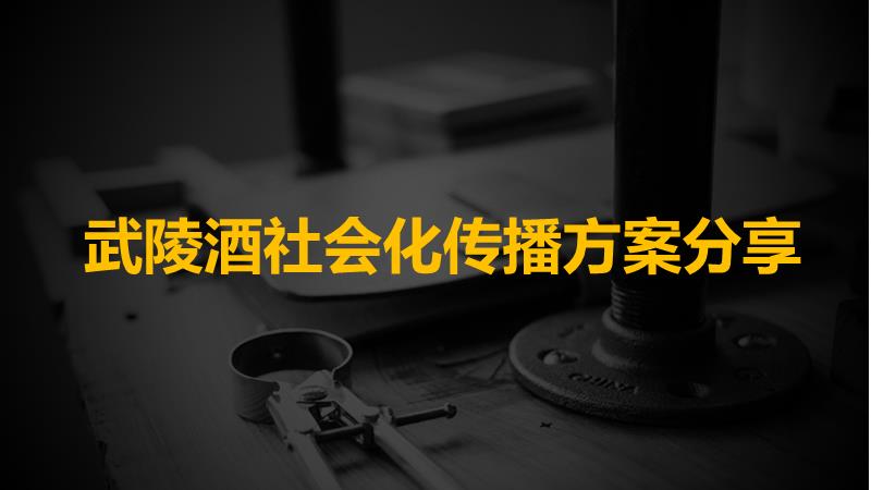 武陵酒社会化传播方案分享.pptx