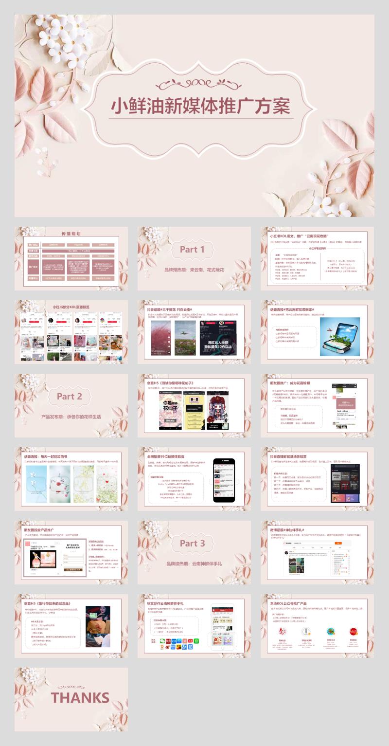 小鲜油新媒体推广方案.pptx
