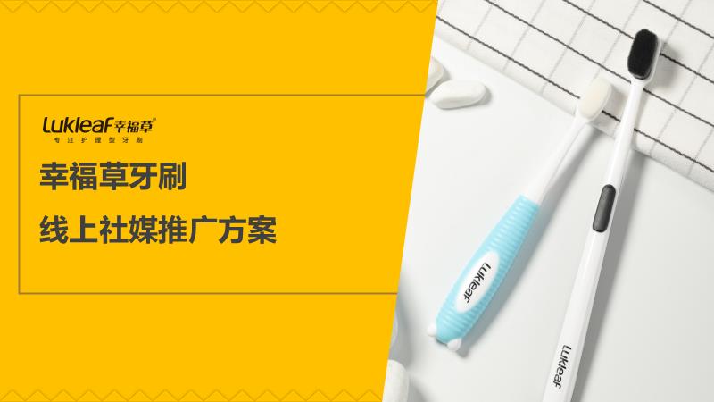 幸福草牙刷小红书线上社交媒体推广方案【快消品】【品牌推广】.pptx