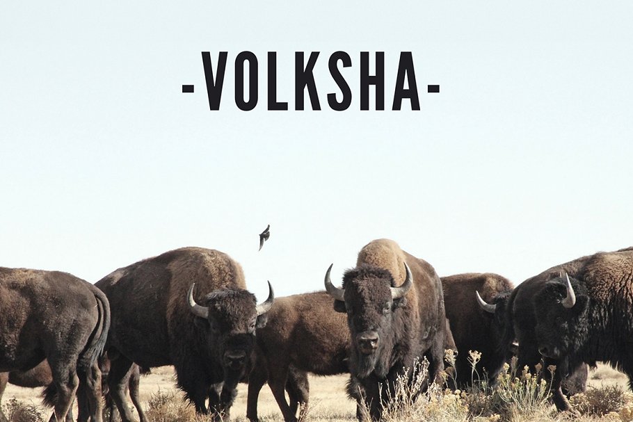 时尚ppt素材模板 VOLKSHA Lookbook Keynote Template