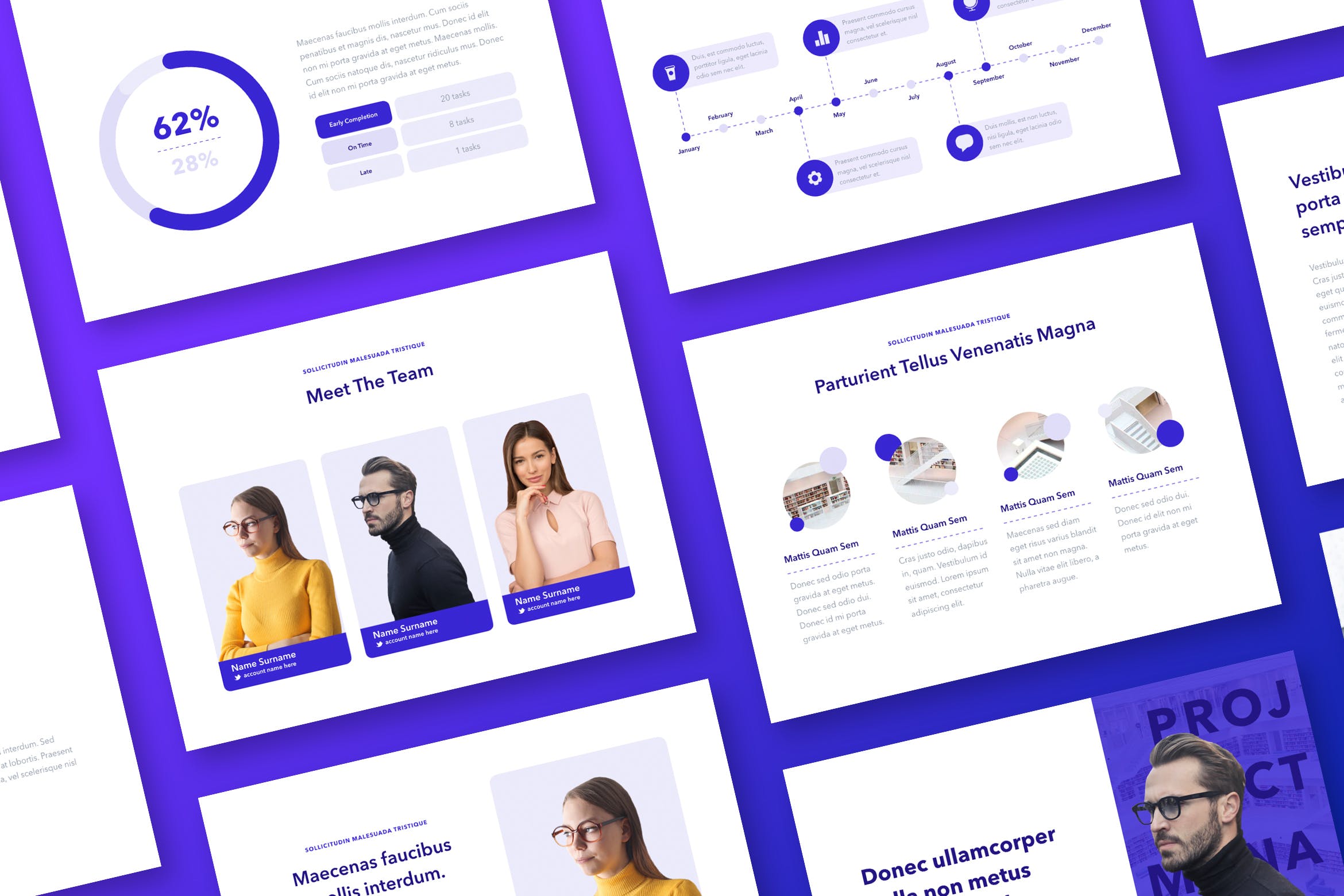 项目管理PPT模板总结ppt模板精美ppt模板