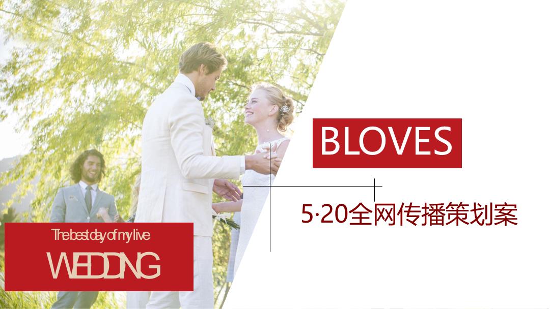 2018珠宝品牌BLOVES·520情人节-线上传播策略方案-60P【精英策划圈】.pptx