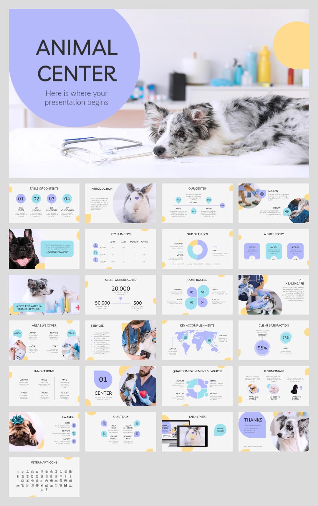 宠物主题PPT模板.pptx