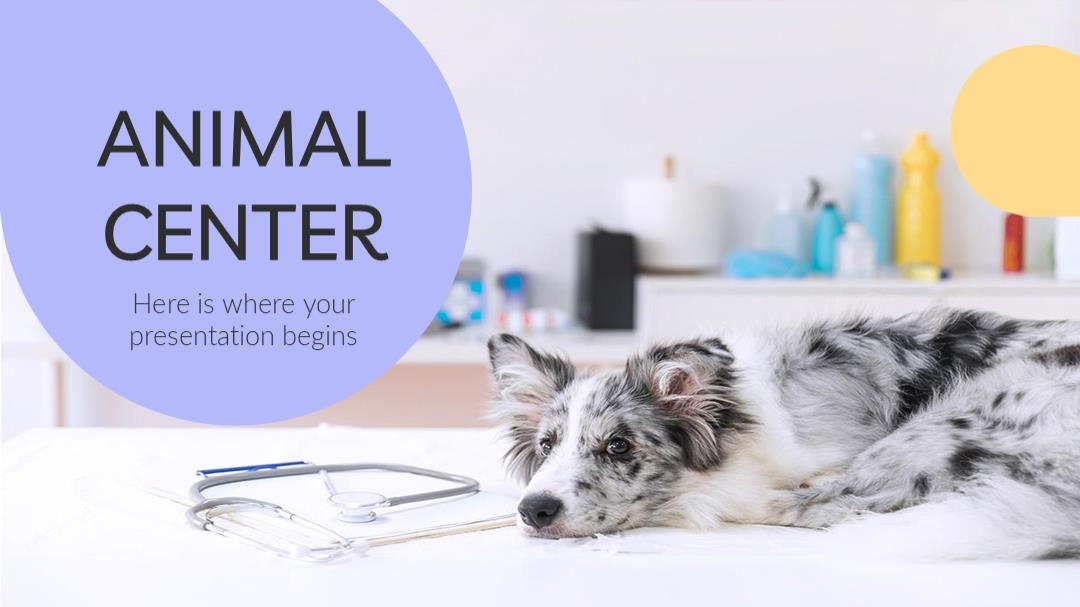 宠物主题PPT模板.pptx