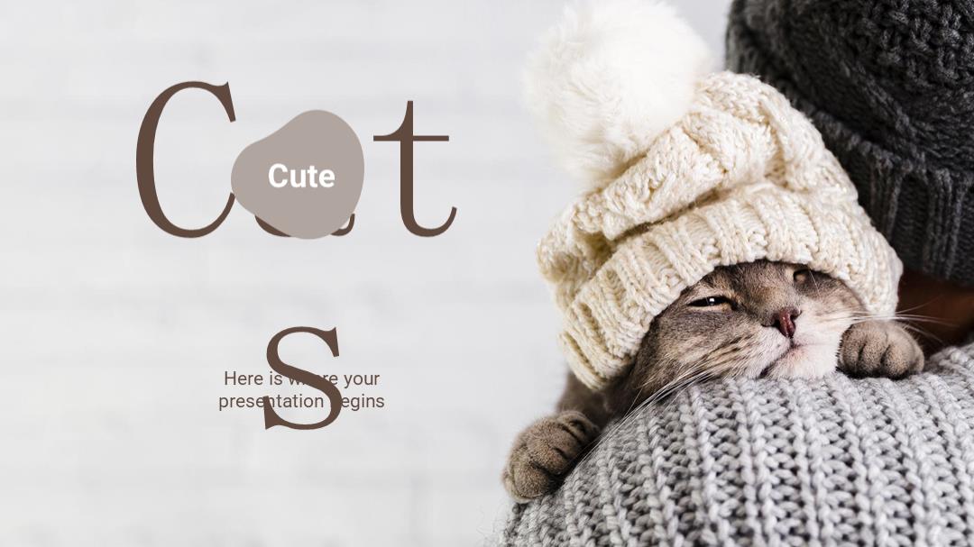 宠物主题PPT模板.pptx