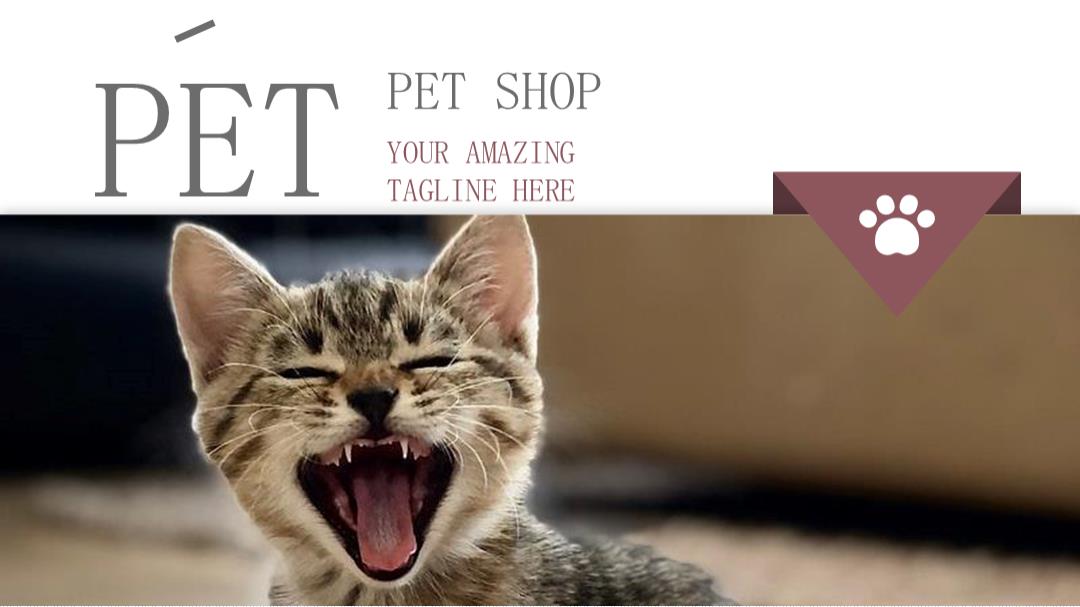 宠物主题PPT模板.pptx