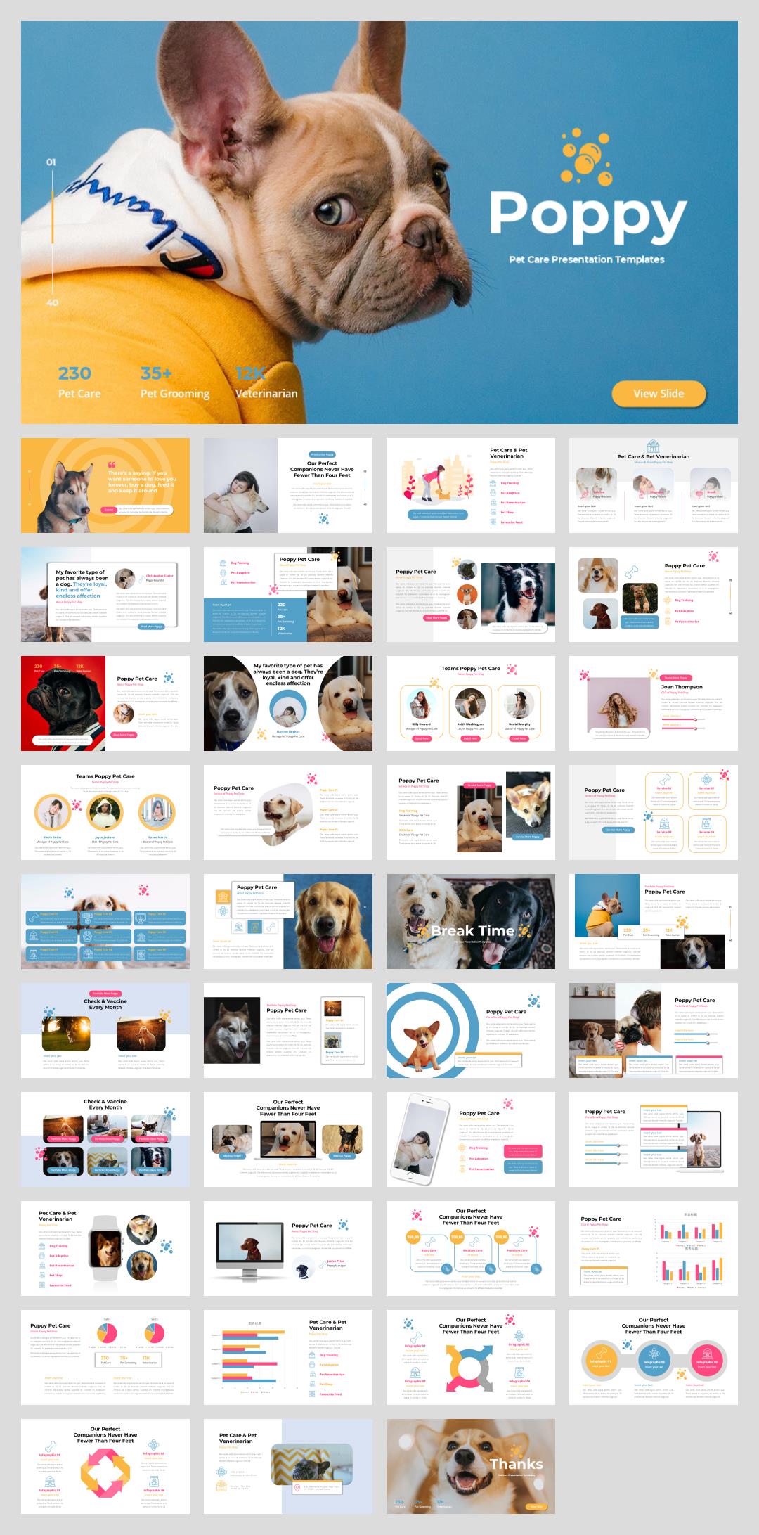 宠物主题PPT模板.pptx
