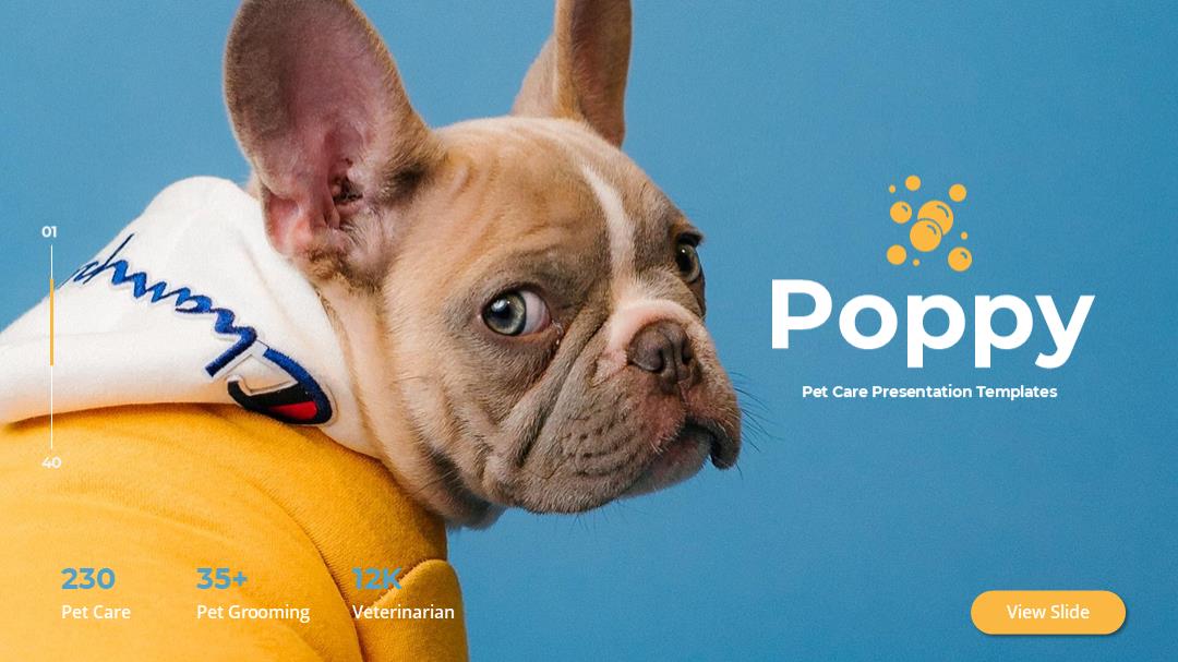 宠物主题PPT模板.pptx