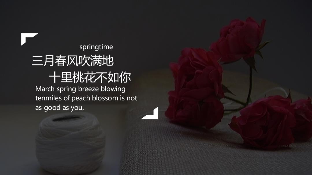 2020地产项目女王节活动策划方案-19P.pptx