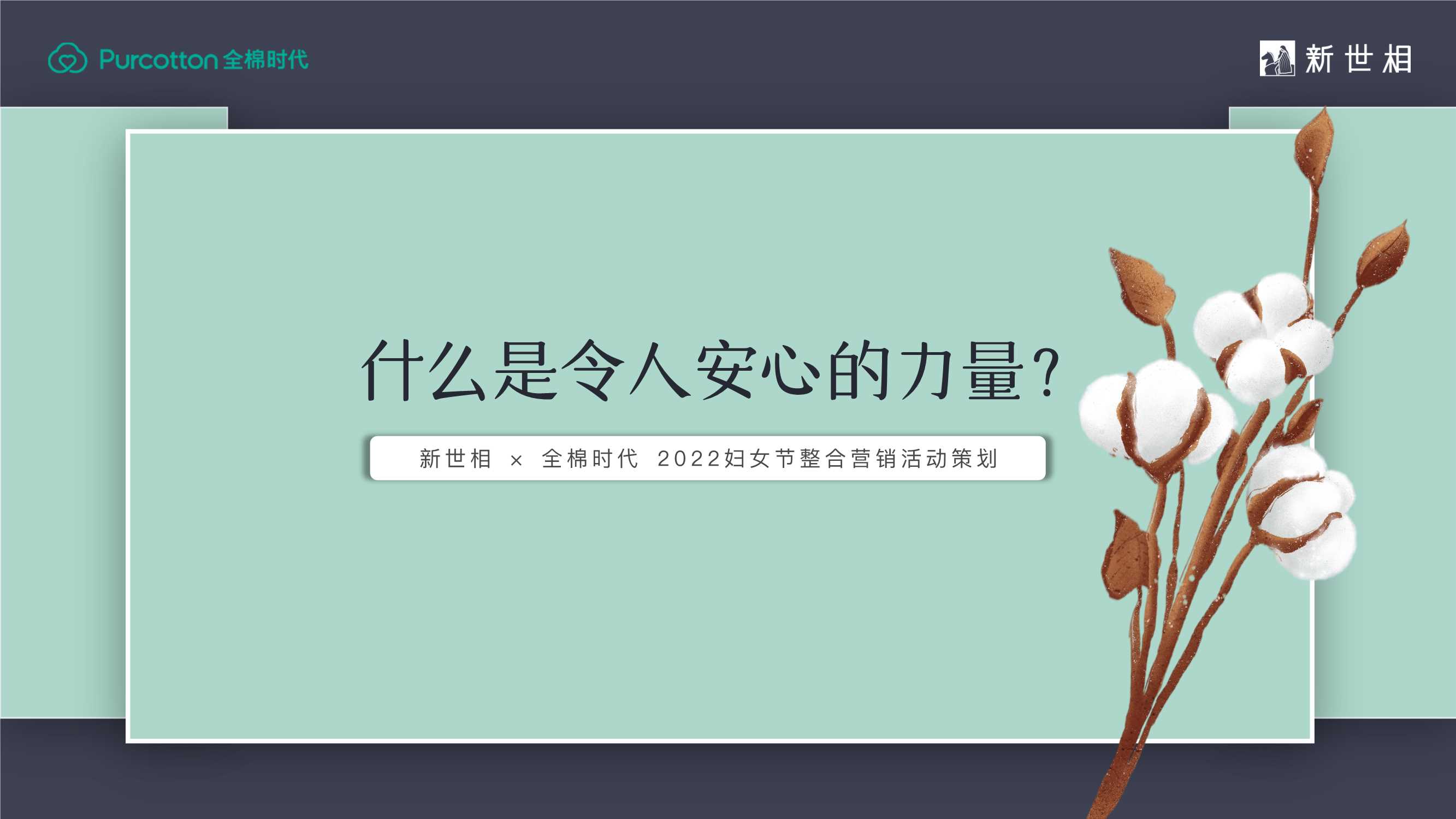 2022全棉时代 x 新世相妇女节整合营销活动策划方案.pdf