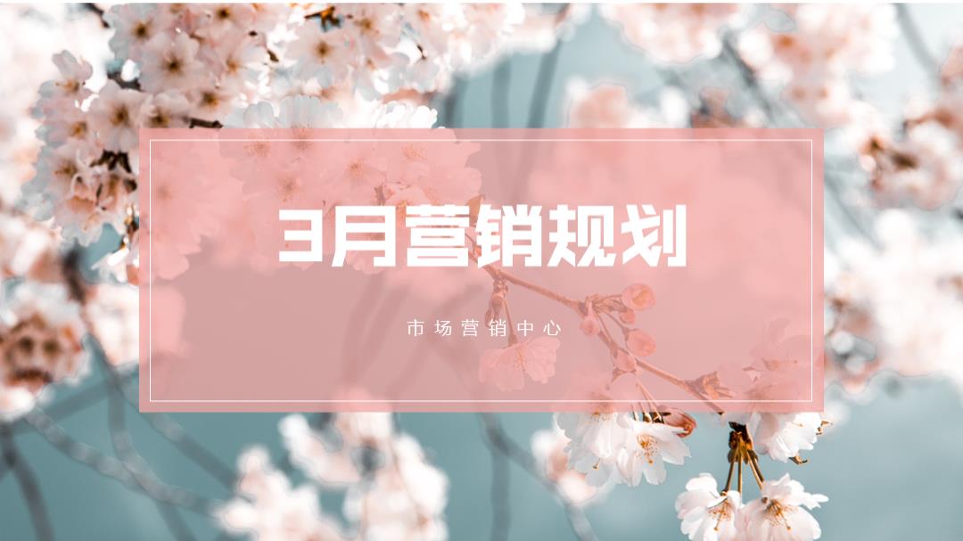 零售3月营销规划.pptx