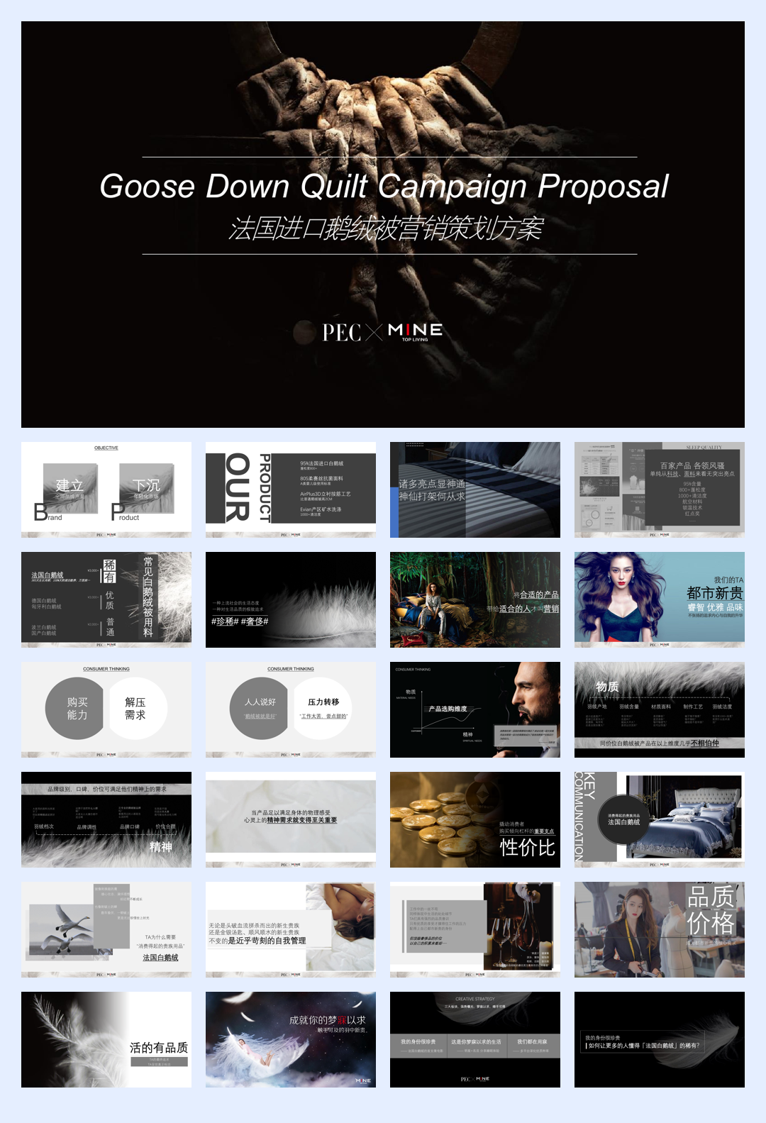 2020 MINE Goose Down Quilt Campaign Proposal.pdf