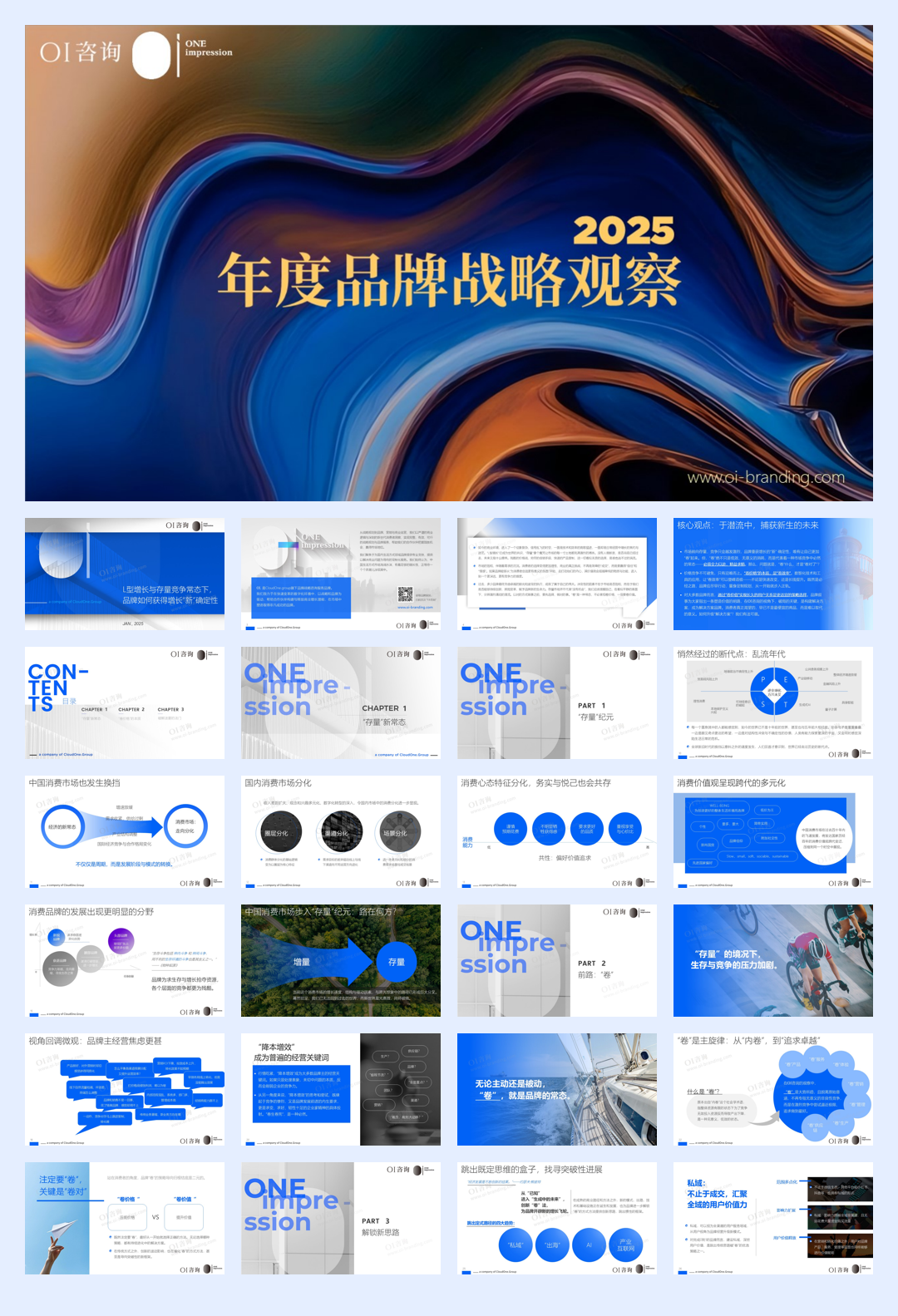 2025年度品牌战略观察报告.pdf