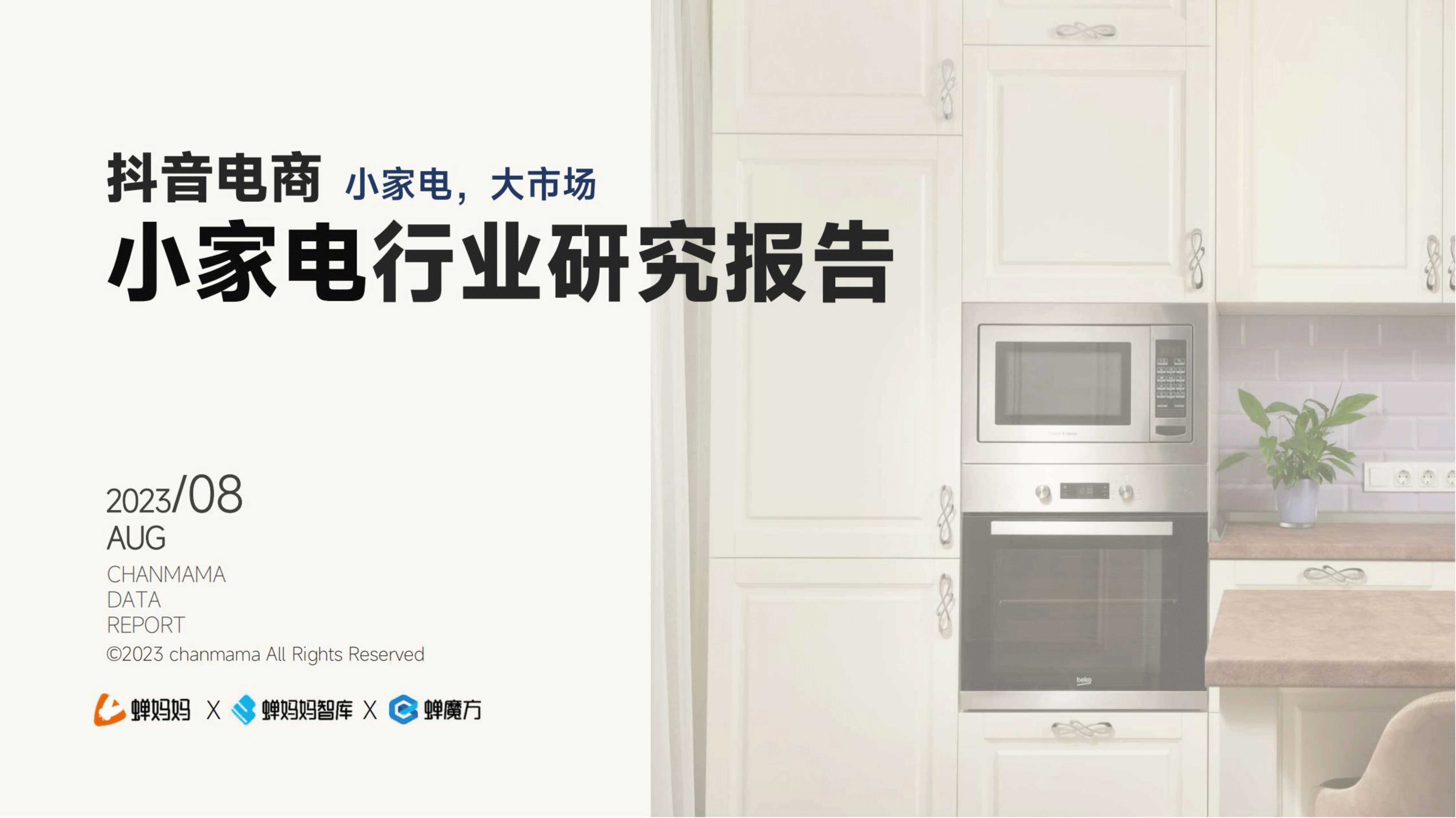 蝉妈妈智库：2023小家电行业洞察报告.pdf