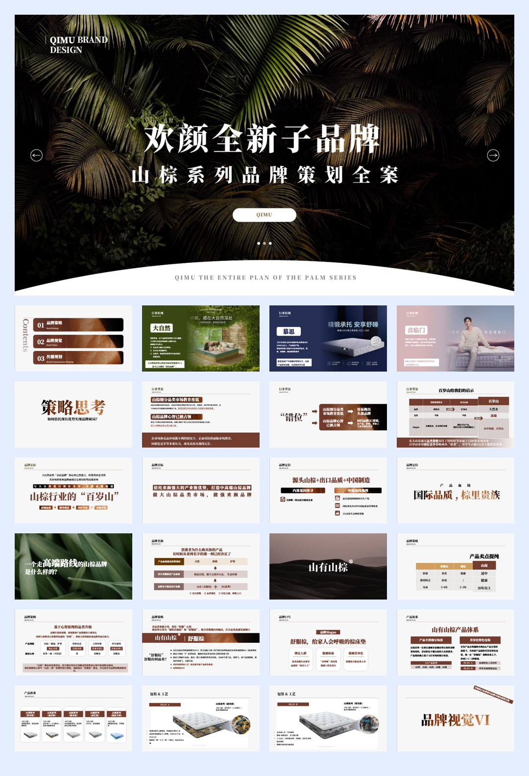 欢颜子品牌打造全案V3.pdf