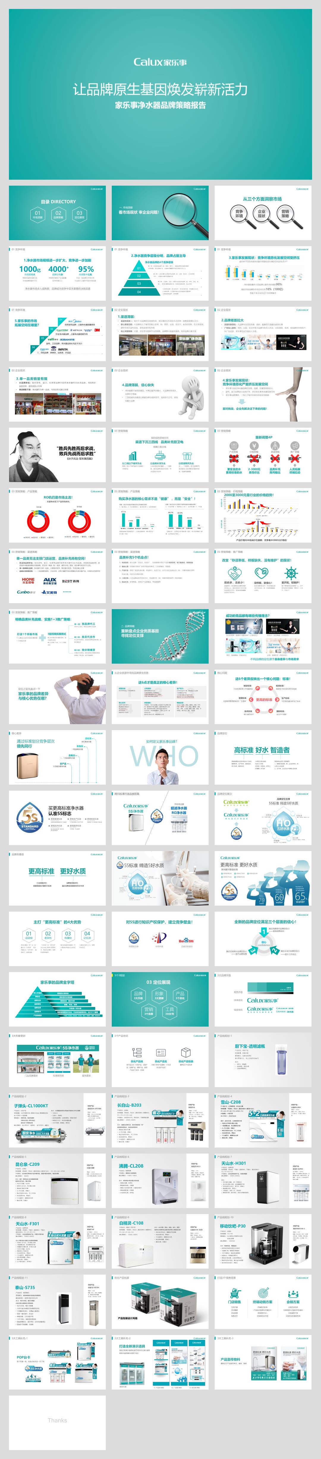 家乐事品牌策略报告0906.pptx