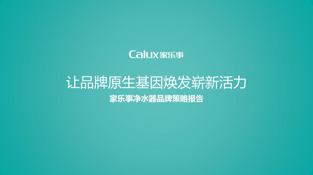 家乐事品牌策略报告0906.pptx