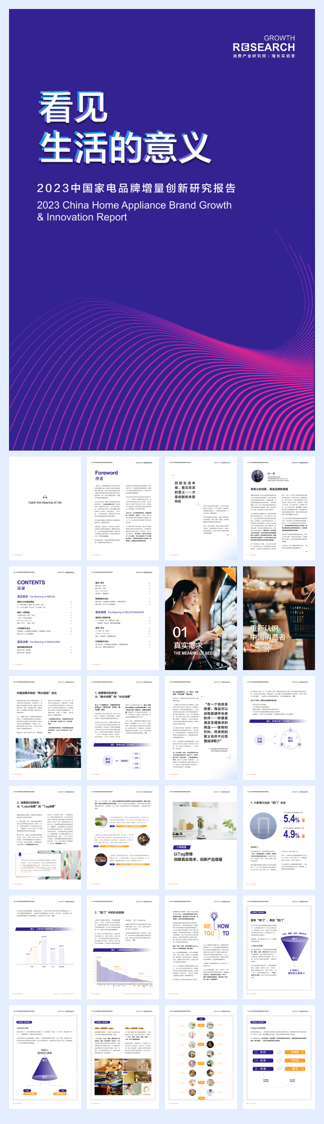 看见生活的意义——2023家电品牌增量创新研究报告-消费产业研究增长实验室-202305.pdf