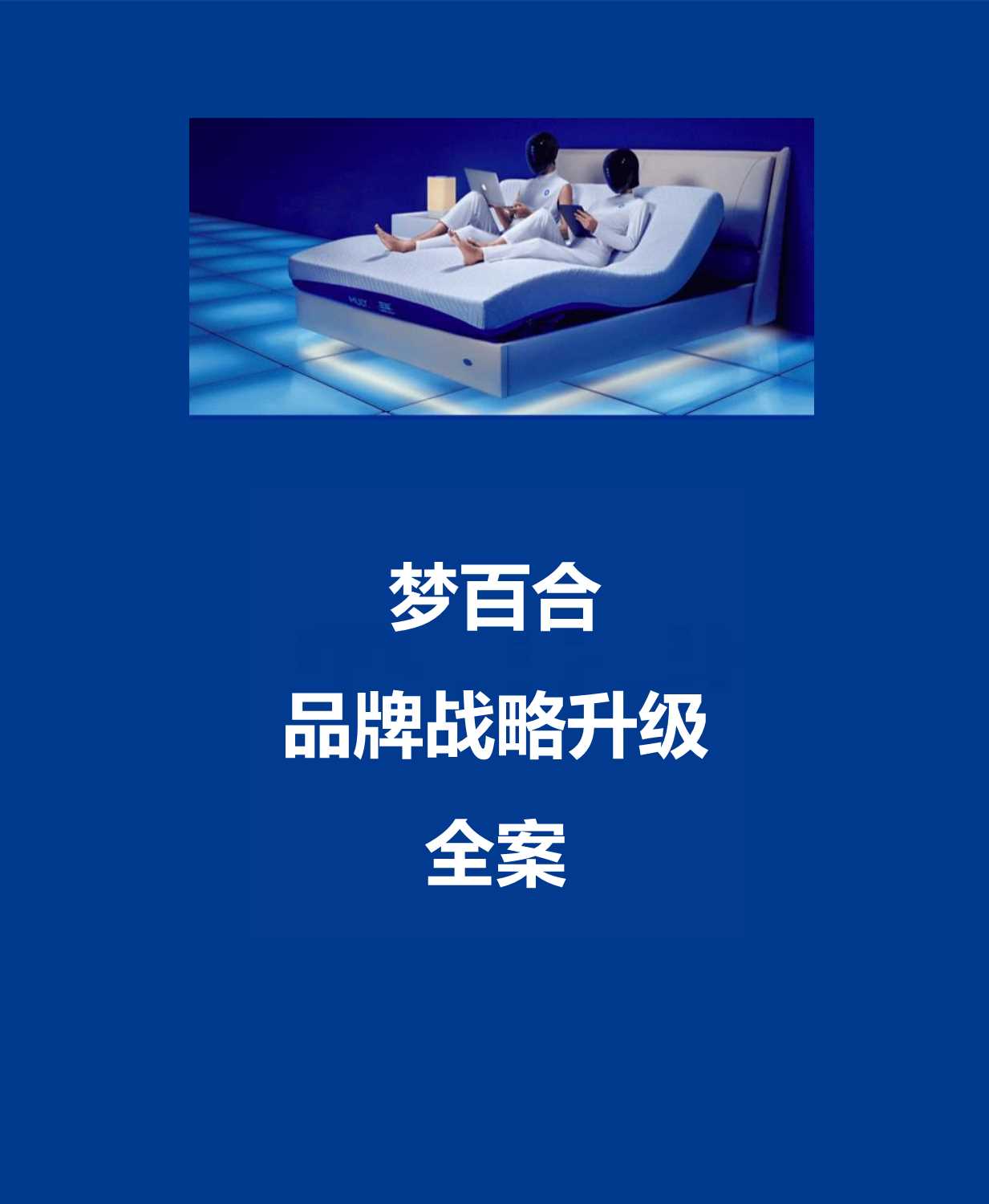 梦百合品牌战略升级全案.pdf