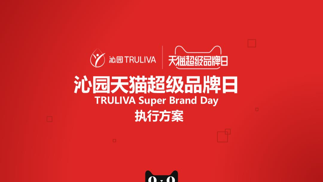 沁园天猫超品日细化方案FA.pptx