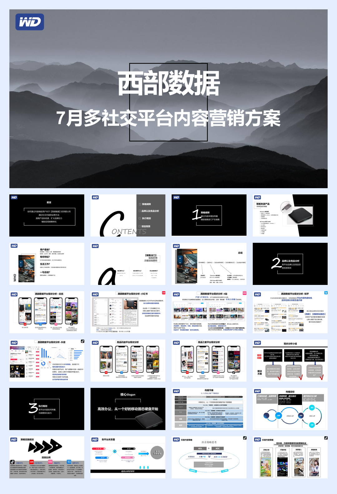 西部数据硬盘多社交平台内容种草营策划销执行方案.pdf