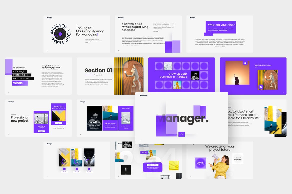 业务经理 PPT模版 (PPTX)