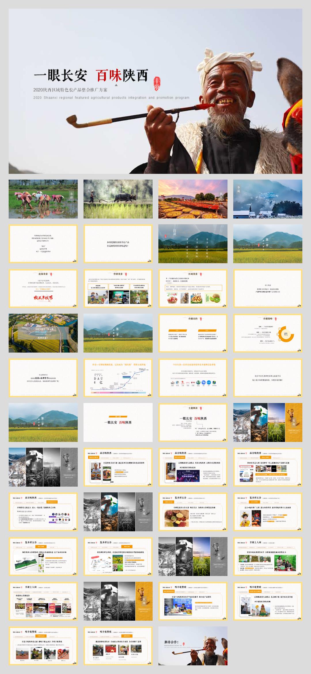 2020陕西区域特色农产品(一眼长安  百味陕西主题)整合推广方案-44P.pptx
