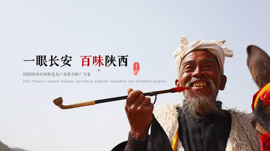 2020陕西区域特色农产品（一眼长安  百味陕西主题）整合推广方案-44P.pptx