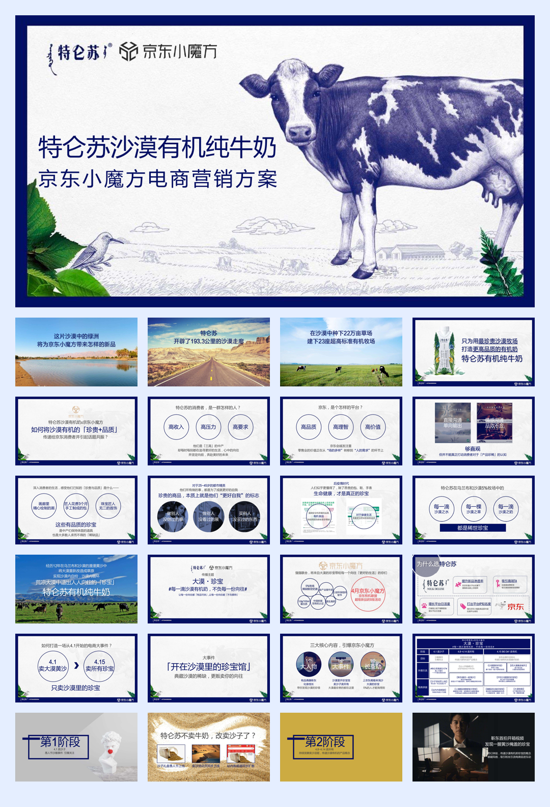 2021特仑苏 X 京东小魔方沙漠有机奶上市方案.pdf