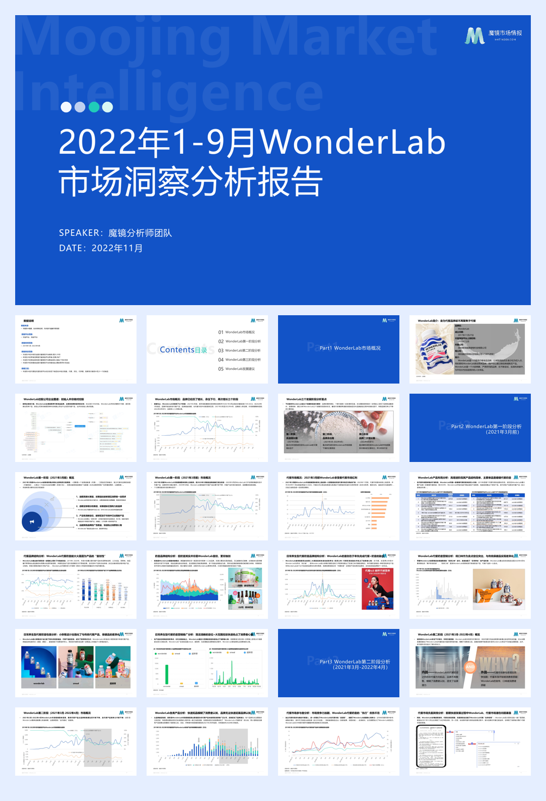 2022 WonderLab市场洞察分析报告-魔镜市场情报.pdf