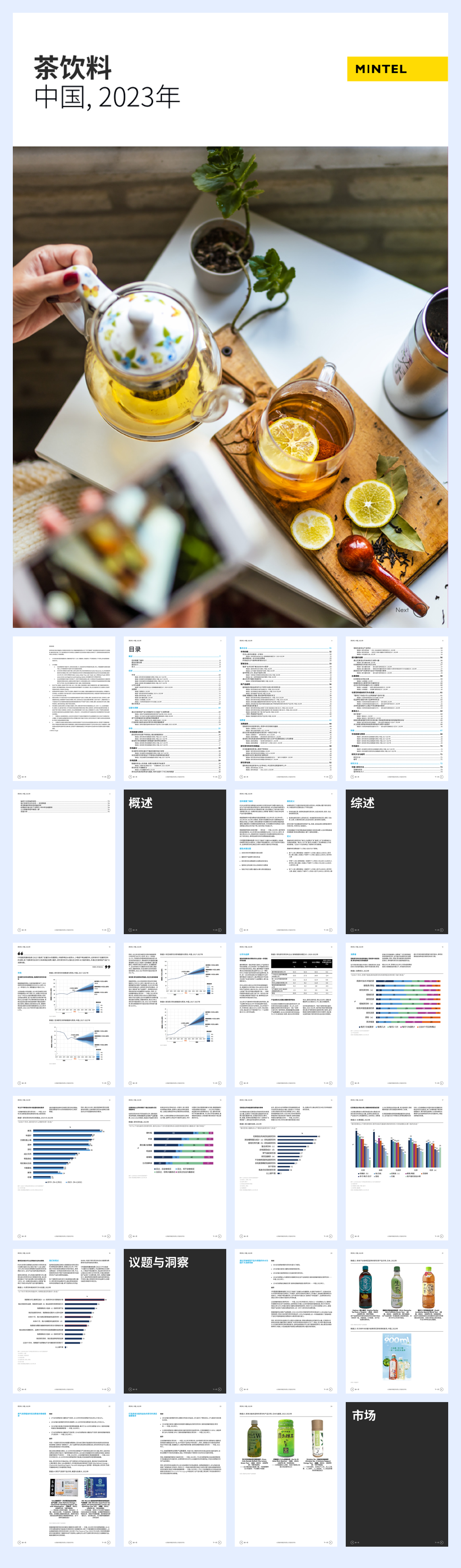 2023年中国茶饮料.pdf
