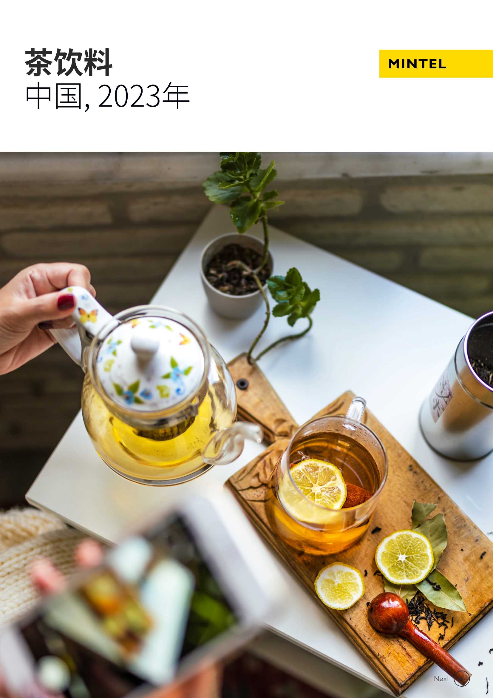 2023年中国茶饮料.pdf