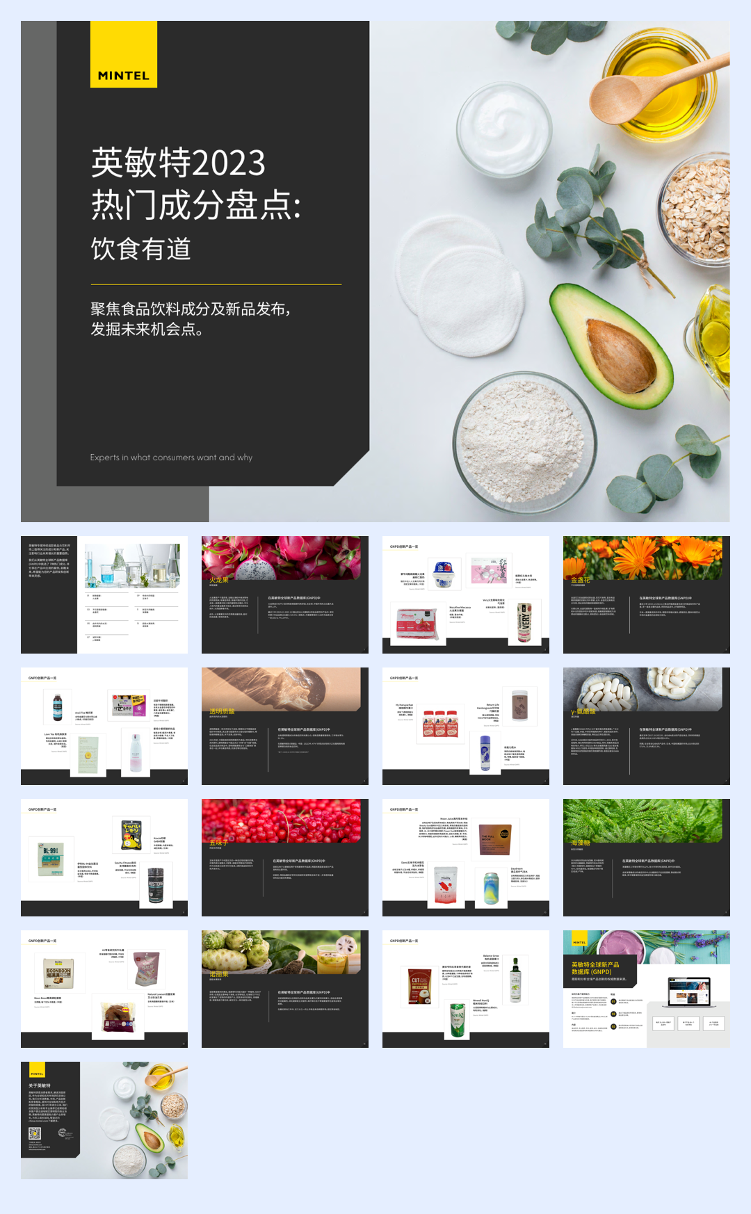 2023热门成分盘点:饮食有道-英敏特-202303.pdf