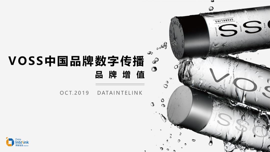 VOSS中国数字传播方案品牌增值.pptx