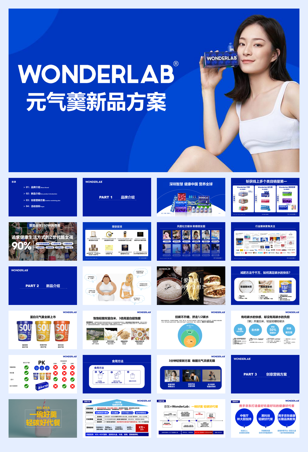 Wonderlab元气羹新品方案.pdf