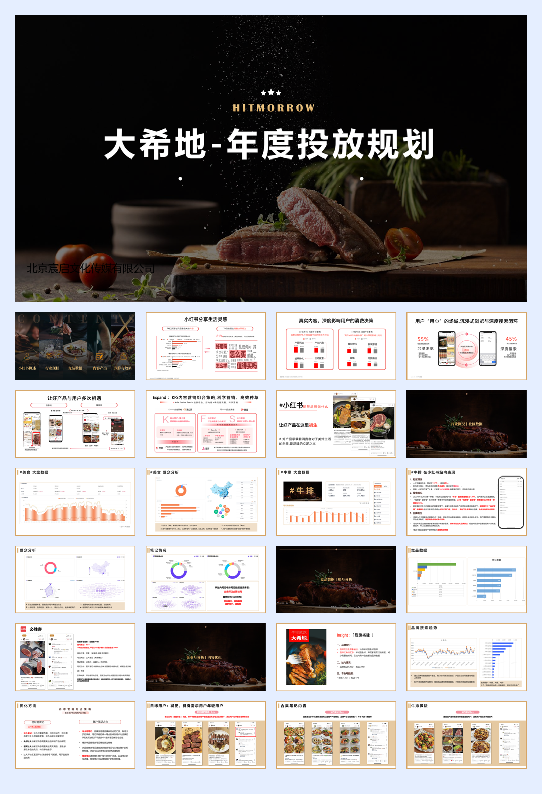 大希地 -年度投放规划-优化版 4.13.pdf