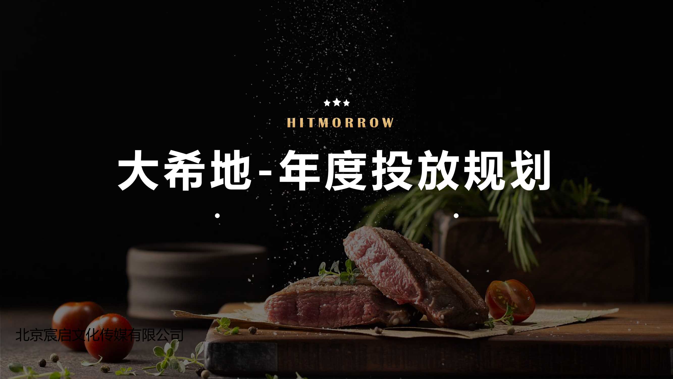 大希地 -年度投放规划-优化版 4.13.pdf