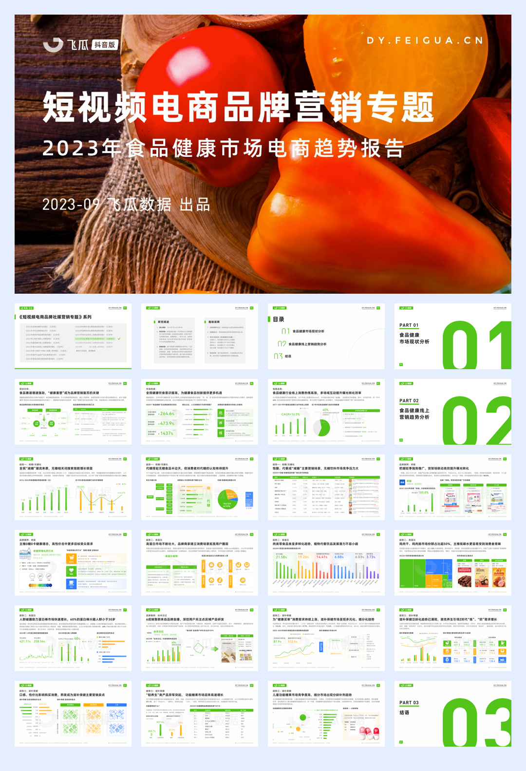 飞瓜数据:短视频电商品牌营销专题——2023年食品健康市场电商趋势报告.pdf
