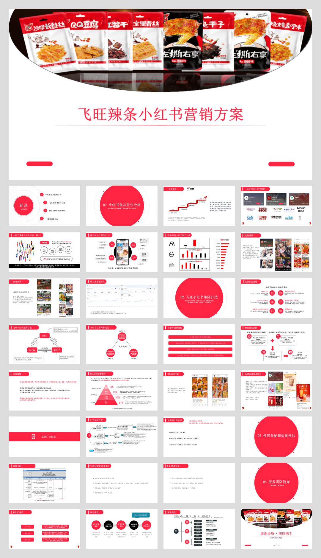 飞旺辣条小红书品牌营销方案.pptx