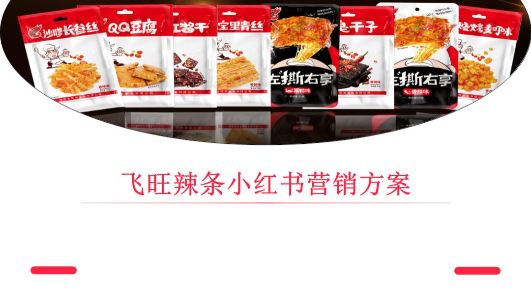 飞旺辣条小红书品牌营销方案.pptx