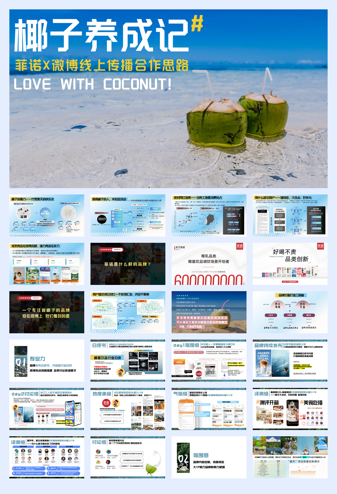 菲诺微博传播.pdf