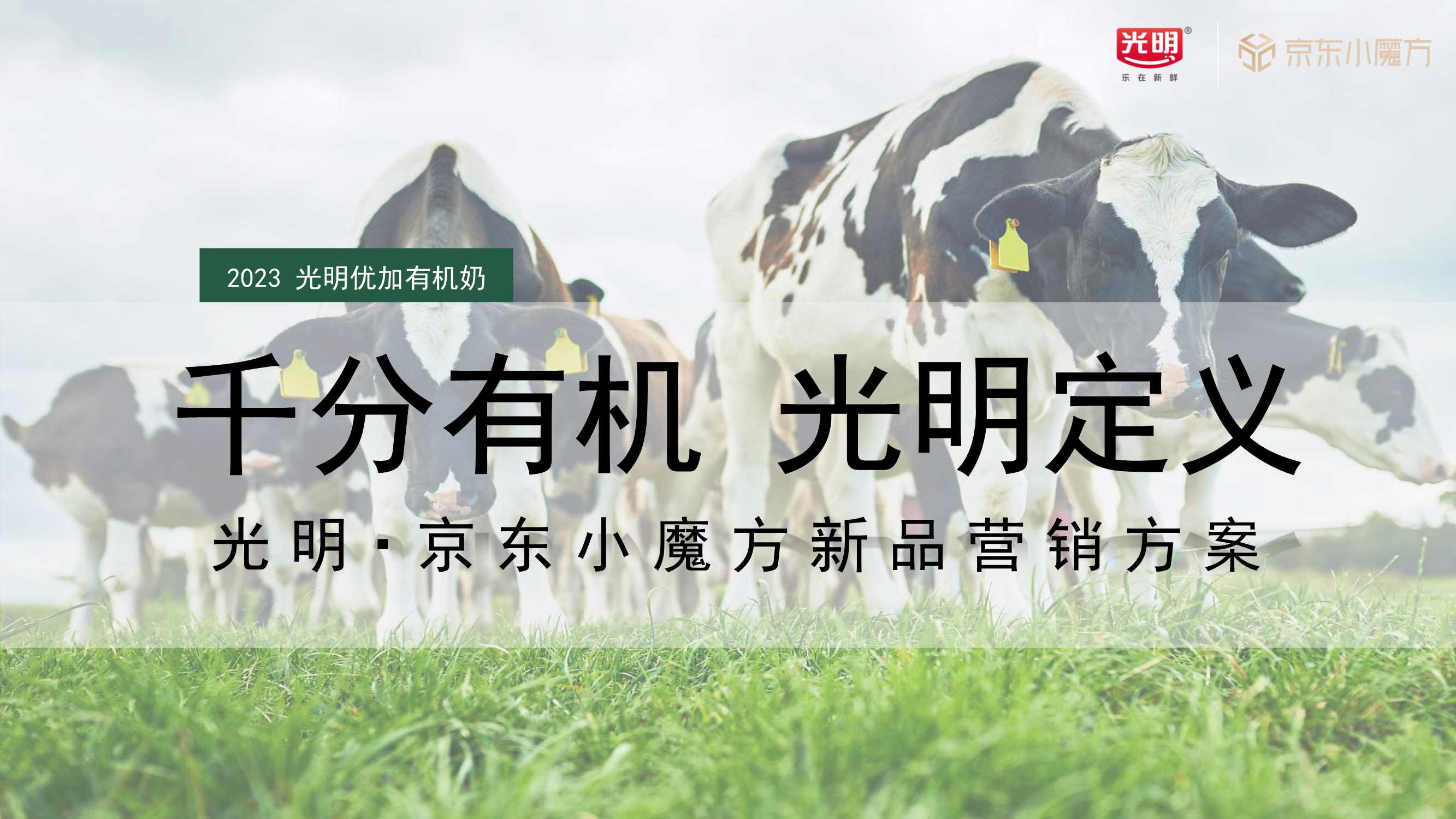 光明x京东新品小魔方整合营销方案.pdf