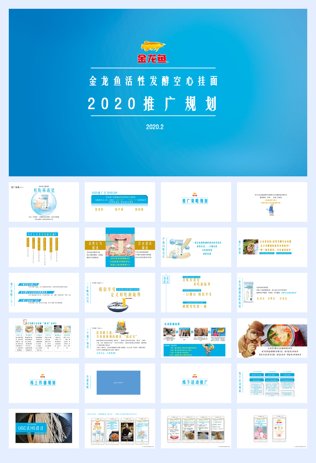 金龙鱼优+活性发酵面年度推广规划.pdf